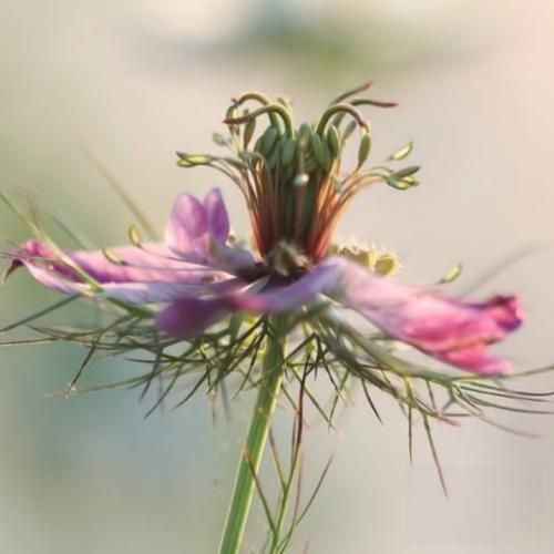  نمیذارم دیگه دلت بشکنه دنیاتو میکنم من بهشت یک شبه