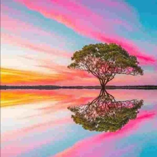  میدونم قلبت شکسته و پر از صداس