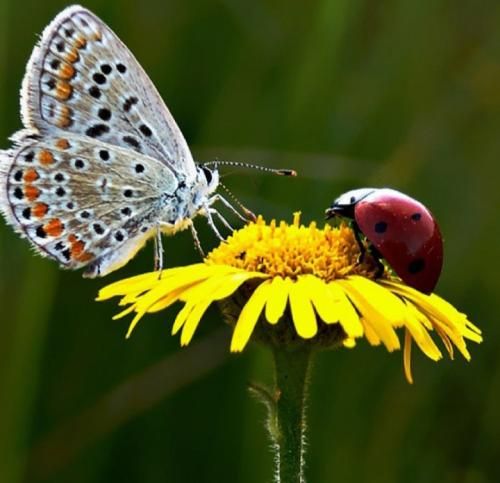  از زندگی از این همه تکرار خسته ام با صدای زن