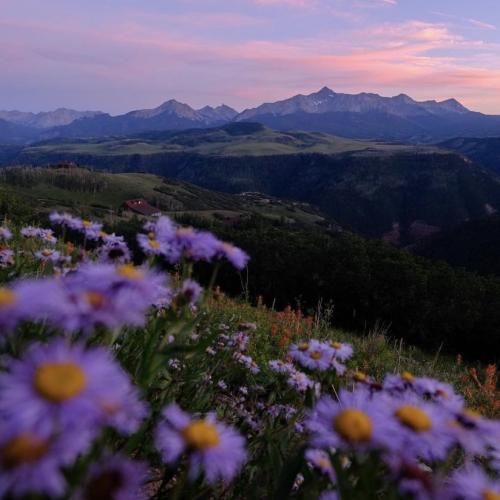 داش علی فقط تو عشقی خوشگل چشم ابرو مشکی