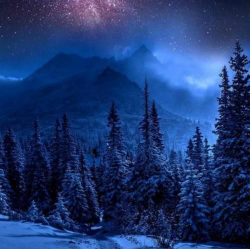 بغلش کسی نمیاد به چشم کسیم بیاد اون میده