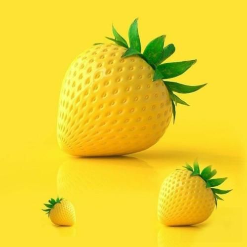  میشینم به روی بومت که ره قفس بگیرم