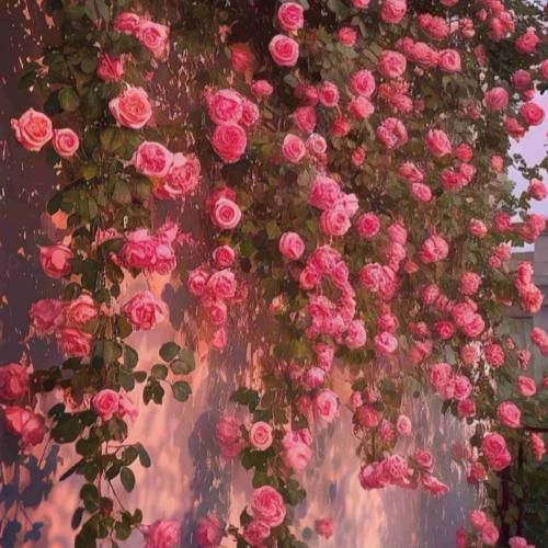  این مریلاس اون نازیلاس هی فلرد فلرد با کی