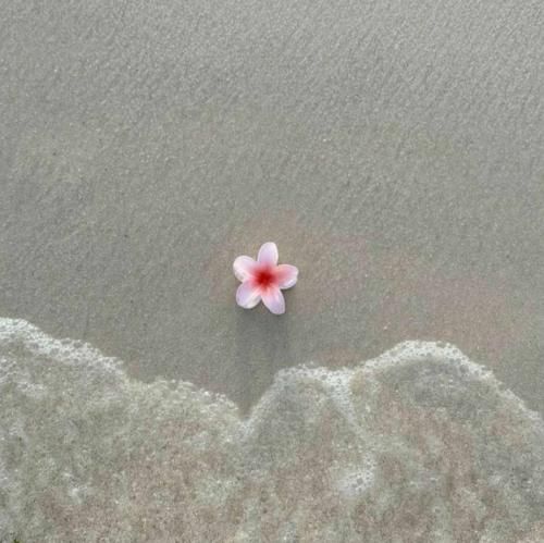  لعنت به تو زیبای بی عاطفه با صدای دختر اینستا