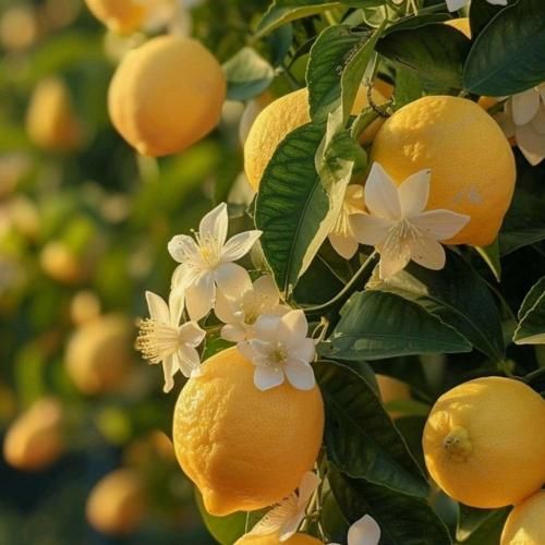  از رو عرش بری پایین باهات روی فرش میام