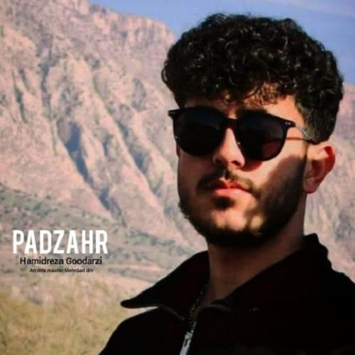 دانلود آهنگ پادزهر از حمیدرضا گودرزی