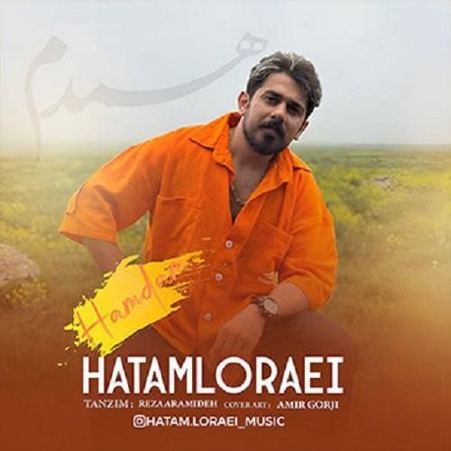 دانلود آهنگ همدم از حاتم لورایی