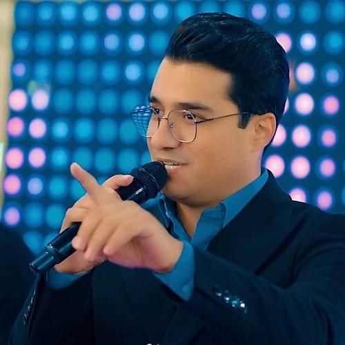 دانلود آهنگ دلتنگی از علی اصغر باکردار