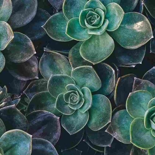 دانلود آهنگ خودم میدونم نمیخواد بگی وای چه زشت میخوام دوستامو دانلود آهنگ خودم میدونم نمیخواد بگی وای چه زشت میخوام دوستامو