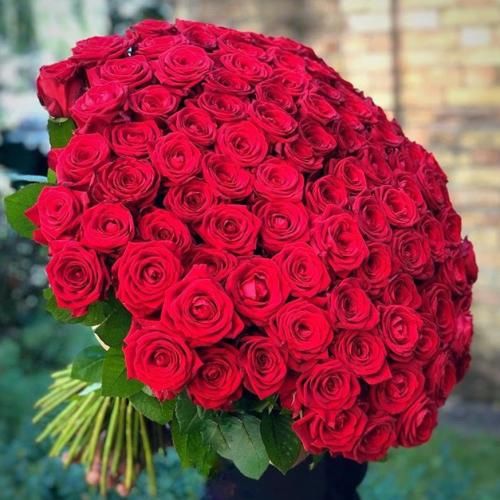 دانلود آهنگ ما شرقی شادیم فقط اگه بزارن هوش مصنوعی دانلود آهنگ ما شرقی شادیم فقط اگه بزارن هوش مصنوعی