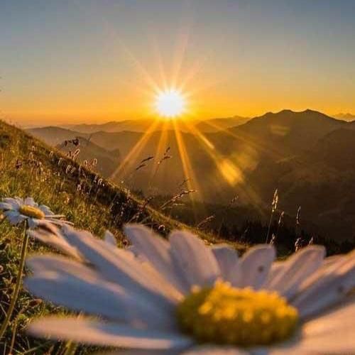 دانلود آهنگ اصلا نمیدونم این دافه کیه پیش من بچه خوبیه دانلود آهنگ اصلا نمیدونم این دافه کیه پیش من بچه خوبیه