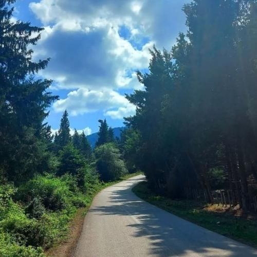 دانلود آهنگ ای ساربان آهسته ران با صدای زن هوش مصنوعی دانلود آهنگ ای ساربان آهسته ران با صدای زن هوش مصنوعی