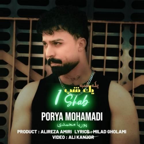 دانلود آهنگ یک شب از پوریا محمدی