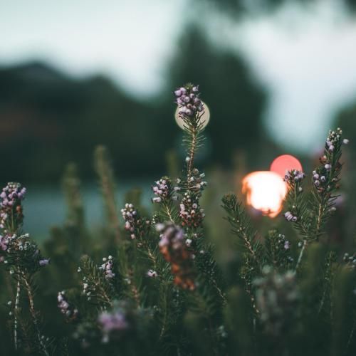 دانلود آهنگ فهمیدم عاشقتم تو روم و پاریس فکر کردم راهی