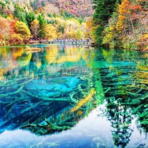  هی با خودم میگم نگم ولی تو بودی شاهرگم هوش مصنوعی