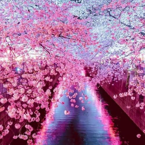 دانلود آهنگ این کارا برا چیته میدونم میدونی بری این دیوونه