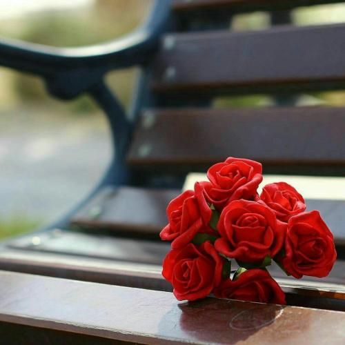  میدونم بر میگردی باز به یاد قبل کنار هم بباره برف