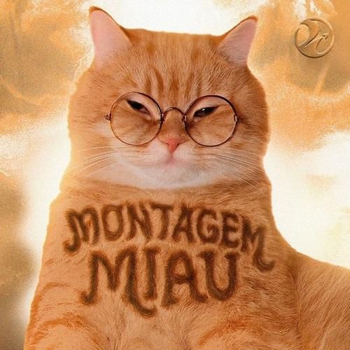 دانلود آهنگ Montagem Miau از Lenar