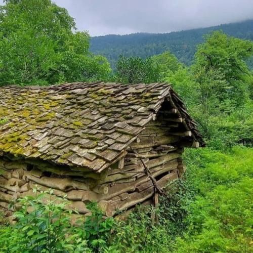  میگن مستی و راستی هرز در اومد هر چی و کاشتیم