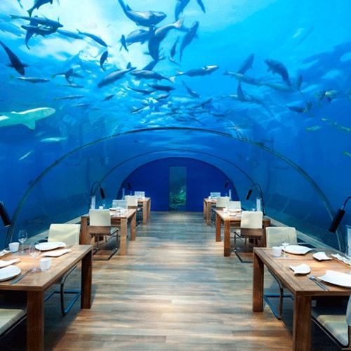 دیگه رو شده دستت تو یکیو میخوای بکنه حذفت