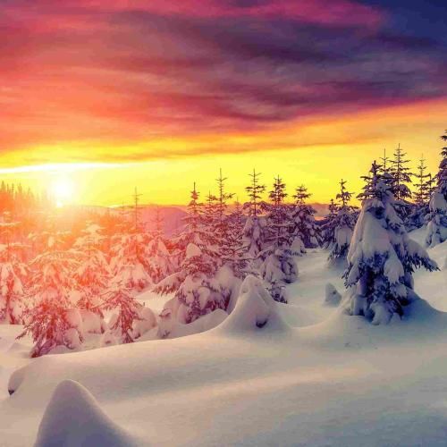 دانلود آهنگ شدم تک و تنها الان شده دردم لاعلاج دیگه قلبم