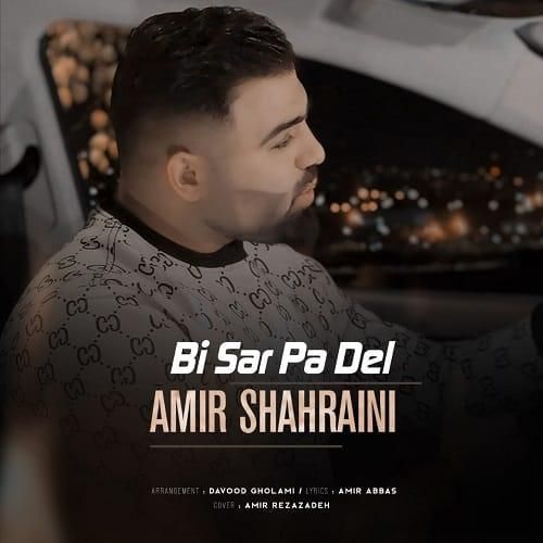 دانلود آهنگ بی سر پا دل از امیر شهرایینی
