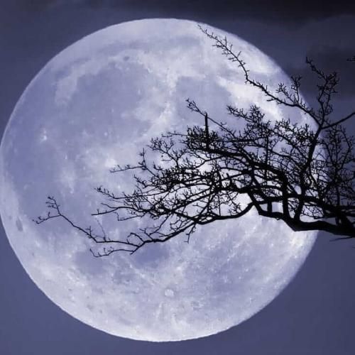 دانلود آهنگ دیگر تو هم بیگانه شو چون دیگران با سرگذشتم