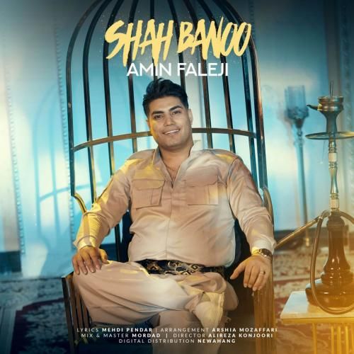 دانلود آهنگ شاه بانو از امین فالجی