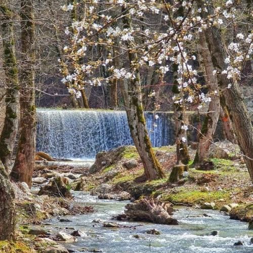 دانلود آهنگ الان هرکی زنگ میزنه میگم کار دارم