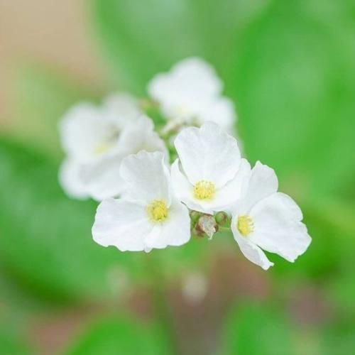 دانلود آهنگ همه میدونن یکی یدونه ی این دلم بودی