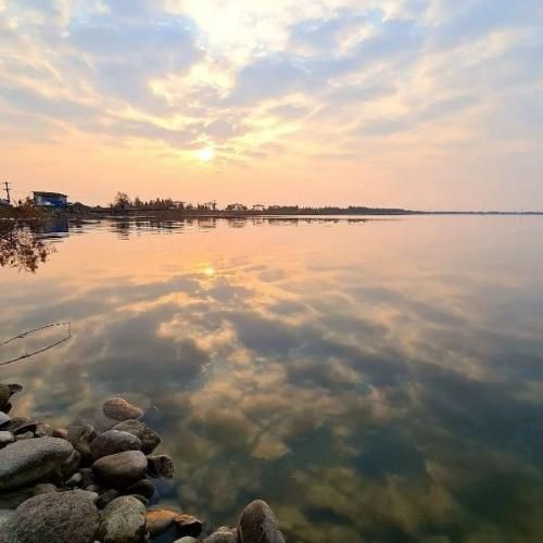 دانلود آهنگ حال بد منو دیدی اصلا با صدای زن هوش مصنوعی