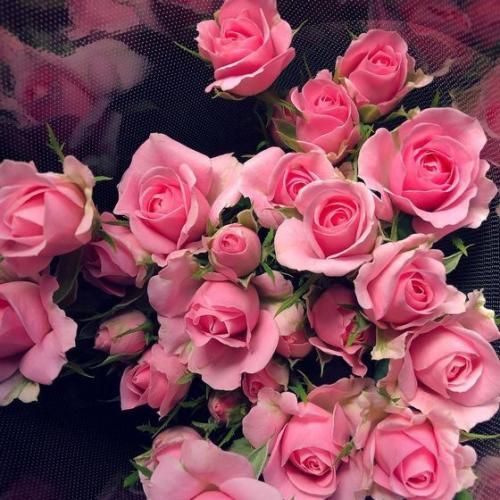 دانلود آهنگ تو دستت کارده تو آشپزخونه من دستم کاره ولی آشپزخونه