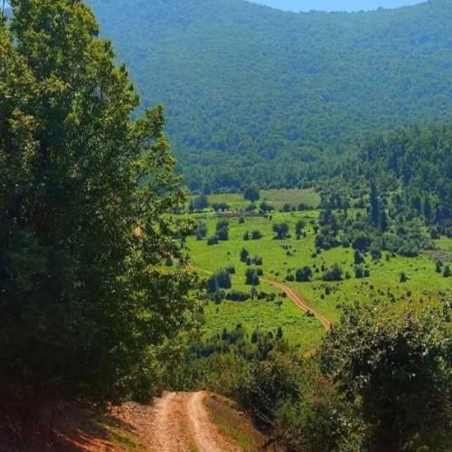 دانلود آهنگ گوشیمو گرفتن دستمه پیوست هی واسه پیج فیک میفرستادن