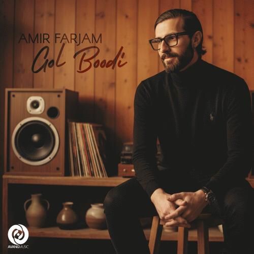 امیر فرجام گل بودی