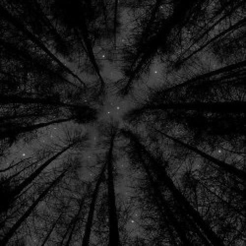 دانلود آهنگ بودم یه بچه تخس ناخلف غرق استعداد