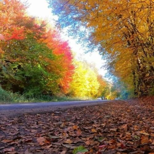 واژه ها رو نمیگیرم نادیده حاجی باید کلاس بیای پیشم