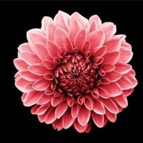  یه جا که آسمونش ستاره کم نداره