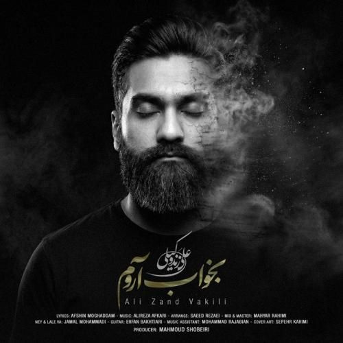 دانلود آهنگ بخواب آروم از علی زندوکیلی