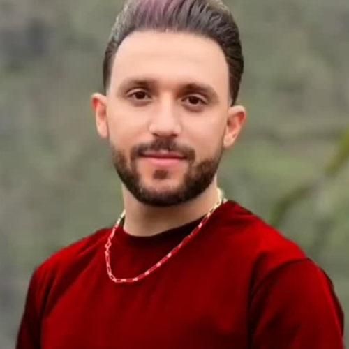 دانلود آهنگ نیستی ببینی بعد تو دل ای دل از مصطفی ابراهیمی