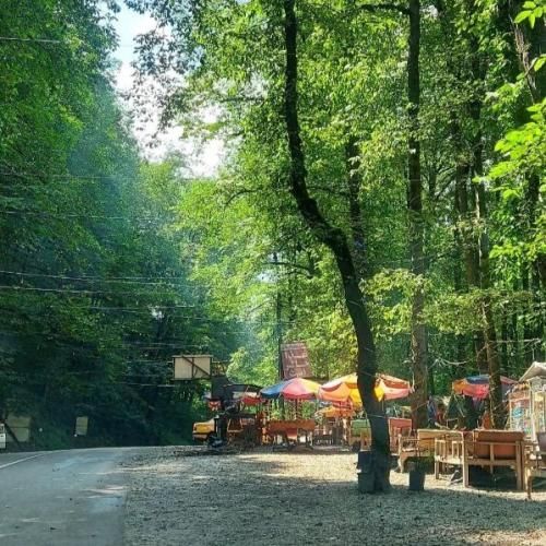 دانلود آهنگ من و تو زنده موندیم و به سختی زندگی کردیم