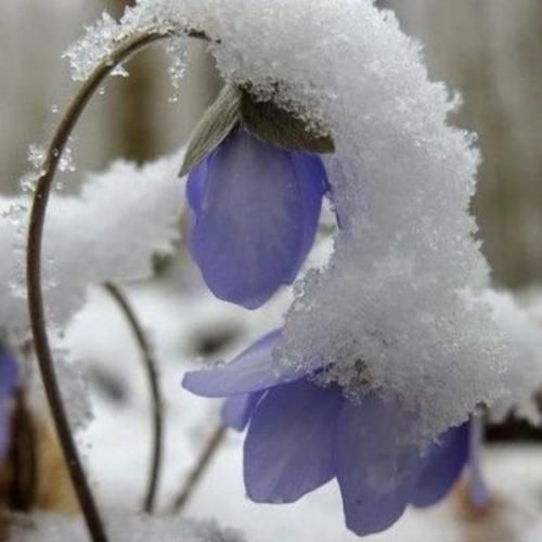 دانلود ریمیکس من حالم خوب نمیشه دیگه قرصا تاثیر نمیزارن روم هوش مصنوعی