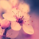 هر شب مستم پاتیلم بد زد خالیبند ‌