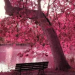 دانلود آهنگ جدید به خونه تو ای رگا قسم شو و روز برات دلواپسم