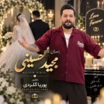 دانلود آهنگ جدید عروس دومادا از مجید حسینی